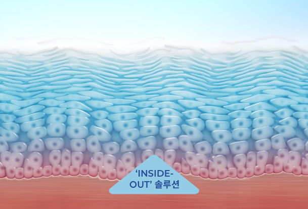 Bepanthol InsideOut